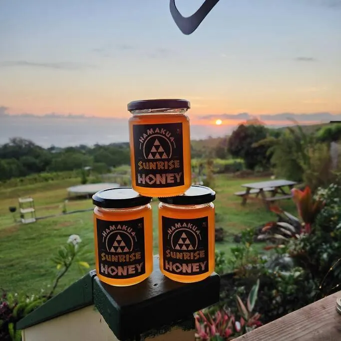 Sunrise Farm Cottage I - 180 Degree Oceanviews Stargazing Whale Watching On Hamakua Coast Hawaii Papaaloa  0*, Papaaloa (Hawaii)