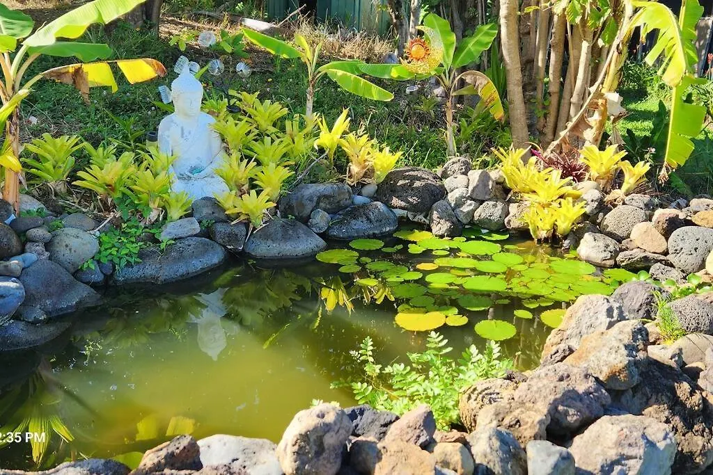Farm stay Sunrise Farm Cottage I - 180 Degree Oceanviews Stargazing Whale Watching On Hamakua Coast Hawaii Papaaloa  United States
