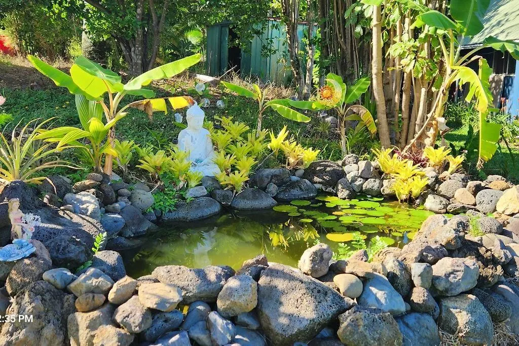 Sunrise Farm Cottage I - 180 Degree Oceanviews Stargazing Whale Watching On Hamakua Coast Hawaii Papaaloa  Papaaloa (Hawaii)