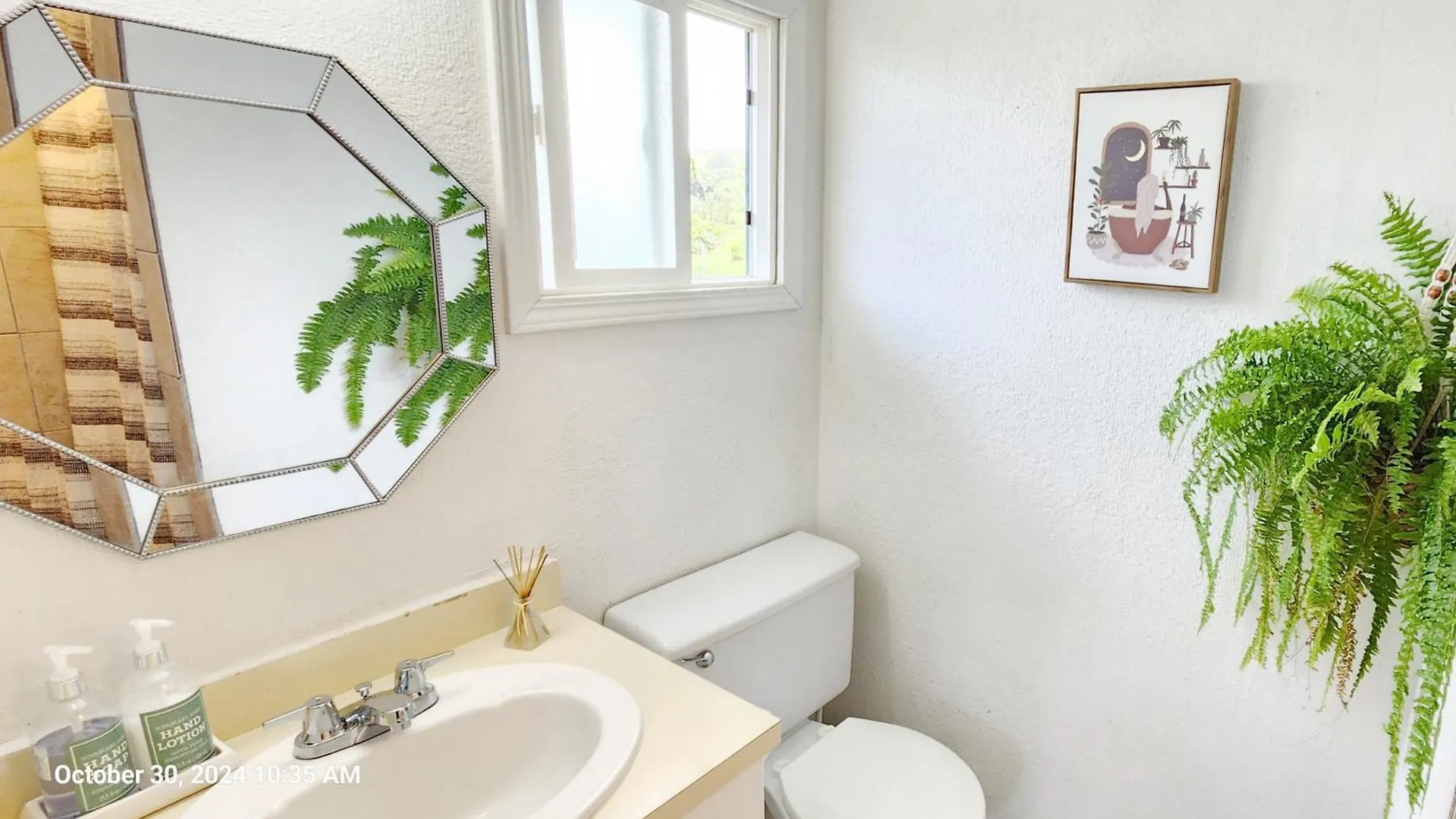 Farm stay Sunrise Farm Cottage I - 180 Degree Oceanviews Stargazing Whale Watching On Hamakua Coast Hawaii Papaaloa  United States