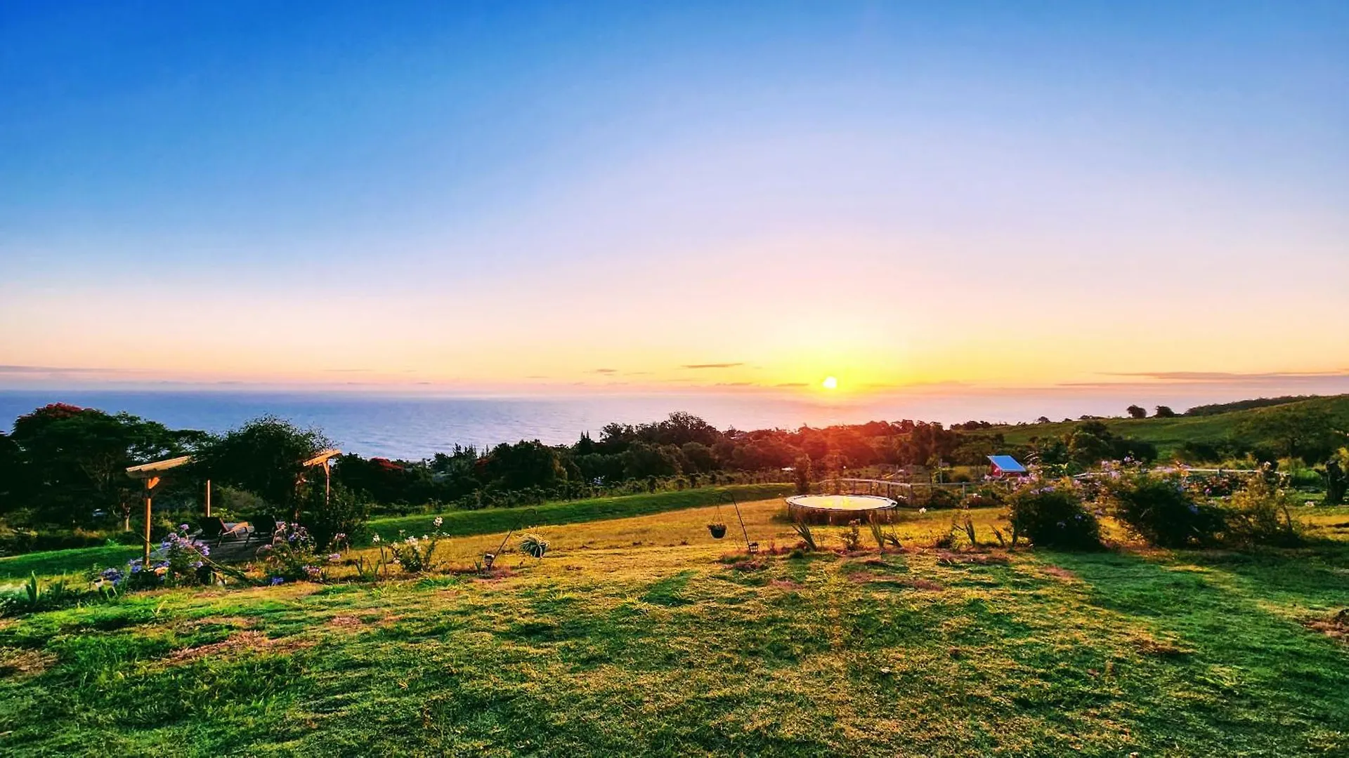 Sunrise Farm Cottage I - 180 Degree Oceanviews Stargazing Whale Watching On Hamakua Coast Hawaii Papaaloa  United States