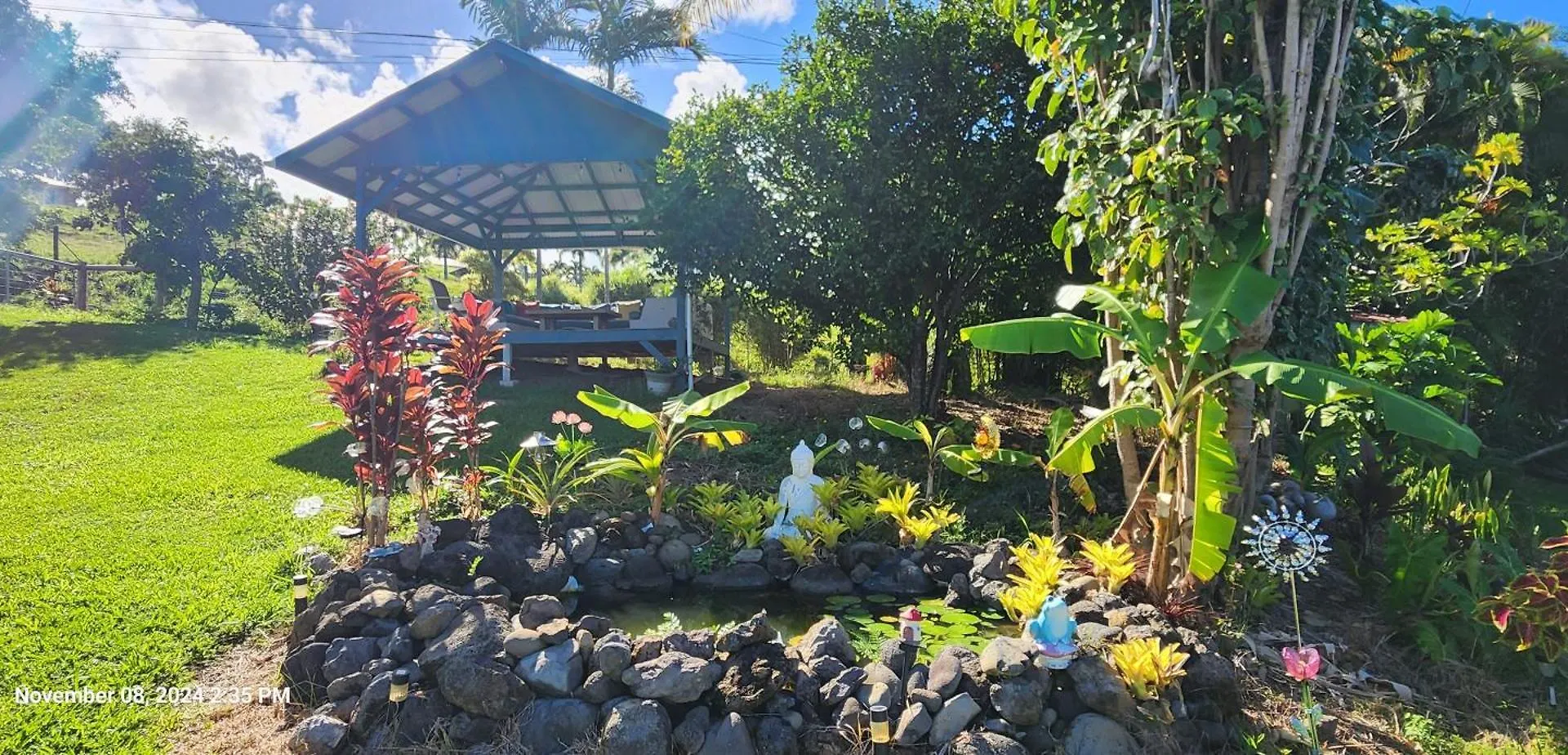 Farm stay Sunrise Farm Cottage I - 180 Degree Oceanviews Stargazing Whale Watching On Hamakua Coast Hawaii Papaaloa